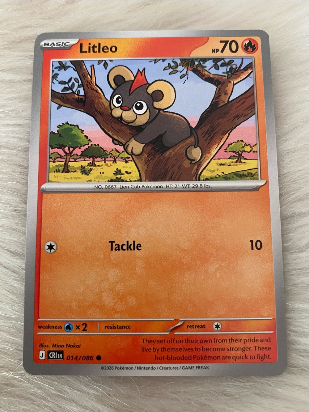 NEW Litleo Pokémon TCG Chaos Rising 014/086